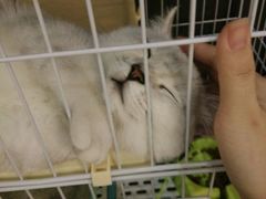 -董小姐咖妃·咖啡·简餐.意面(松江大学城店)