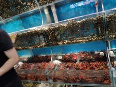 水产区-龙浔虾欢(祥岭路店)