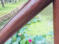 -思念果岭悦温泉