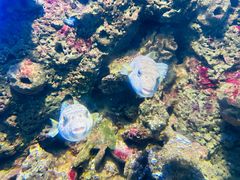 -泉城欧乐堡海洋极地世界