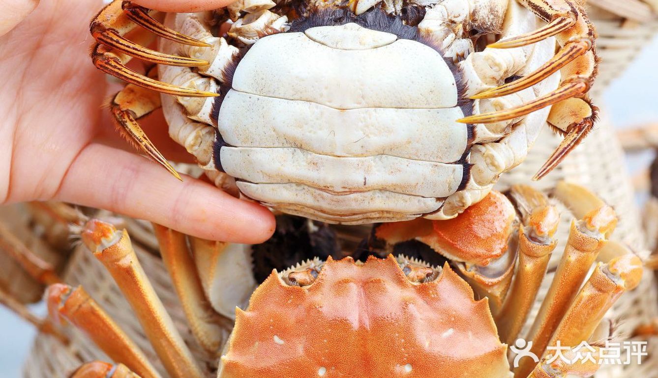 这家餐厅是真正的湖景餐厅，风景超惬意！阳澄湖大闸蟹