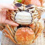 这家餐厅是真正的湖景餐厅，风景超惬意！阳澄湖大闸蟹