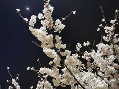 -汉宫汤泉汗蒸洗浴(五四广场店)