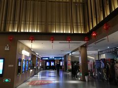 -深影国际影城(学院南路店CGS中国巨幕店)