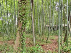 -柯岩风景区