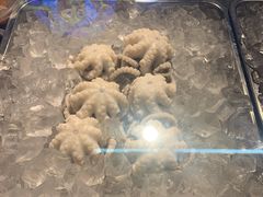 -铭聚章鱼土笋冻(松柏店)