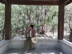 -廊坊市自然公园