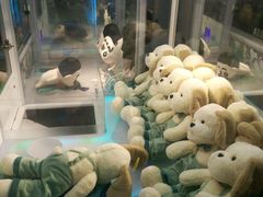 -PAWTOY爪e玩偶店(天兴罗斯福店)
