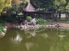 -深圳国际园林花卉博览园