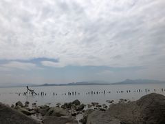 -深圳湾公园(南山区)