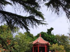 -八大关景区
