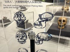 -北京周口店北京人遗址博物馆