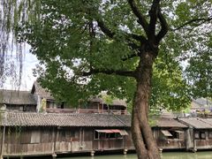 -乌镇东栅景区