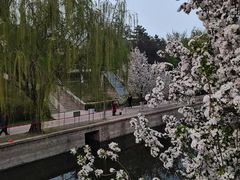 -元大都城垣遗址公园