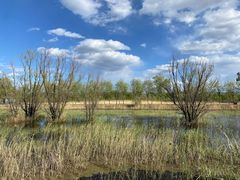 -野鸭湖国家湿地公园