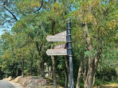 -金龙寺国家森林公园