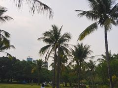 -南沙蒲洲花园