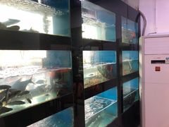 -全乐鱼馆·淳牌有机鱼直营店