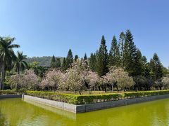 -威远炮台