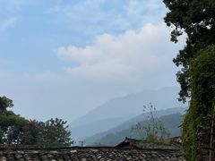 -杨家堂村