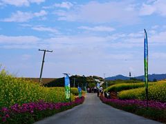 -光明小镇欢乐田园