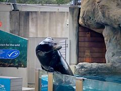 -悉尼海洋生物水族馆
