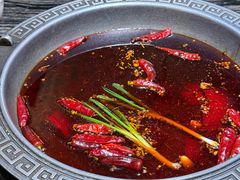 -杨肥肠火锅大排档(火车站花园店)