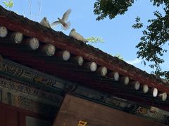 -大慈恩寺(大雁塔)