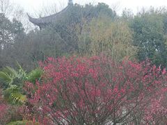 -白马涧龙池景区
