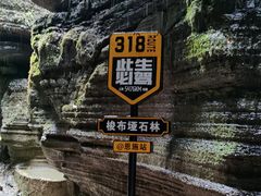 -梭布垭石林景区