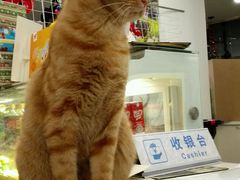 android_upload_pic-JOJO实景沉浸侦探剧本杀(大悦城店)