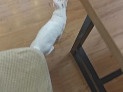 -剧狐剧本杀·月球探案馆(人民广场1号店)