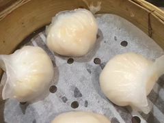 -添好运点心专门店(北角店)