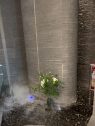 -美壹生皮肤管理中心