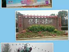 -保利石象湖景区