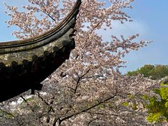 -苏州上方山国家森林公园