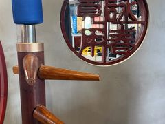 -温鉴良实用咏春拳