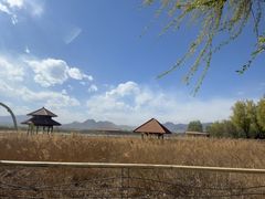 -青龙湖公园