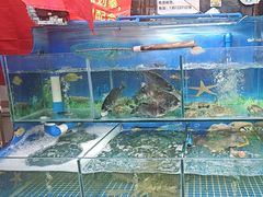 -牟记江湖重庆地标特色菜鱼蛋海鲜羊蝎子(巴南区黑金冠十多年好店)