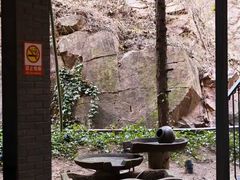 -瑜上·山食小馆