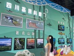 -海合安成都极地海洋公园