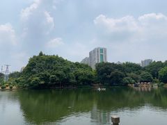 -晓港公园