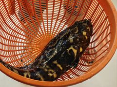 -鑫鸿达·海鲜闽菜热炒小馆(中山路店)