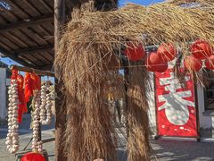 -同里国家湿地公园