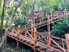 -大岭沟猕猴桃谷风景区