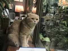 -咖法森林·咖啡  酒吧(天河店)