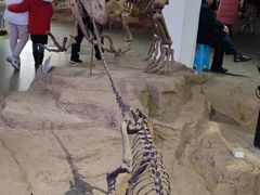 -自贡恐龙博物馆