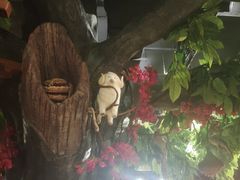 -草原塞蛮羊火锅城(港湾店)