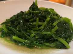 清炒豌豆尖-渝信川菜 · 川味家常菜(财富购物中心店)