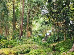 -成都市活水公园